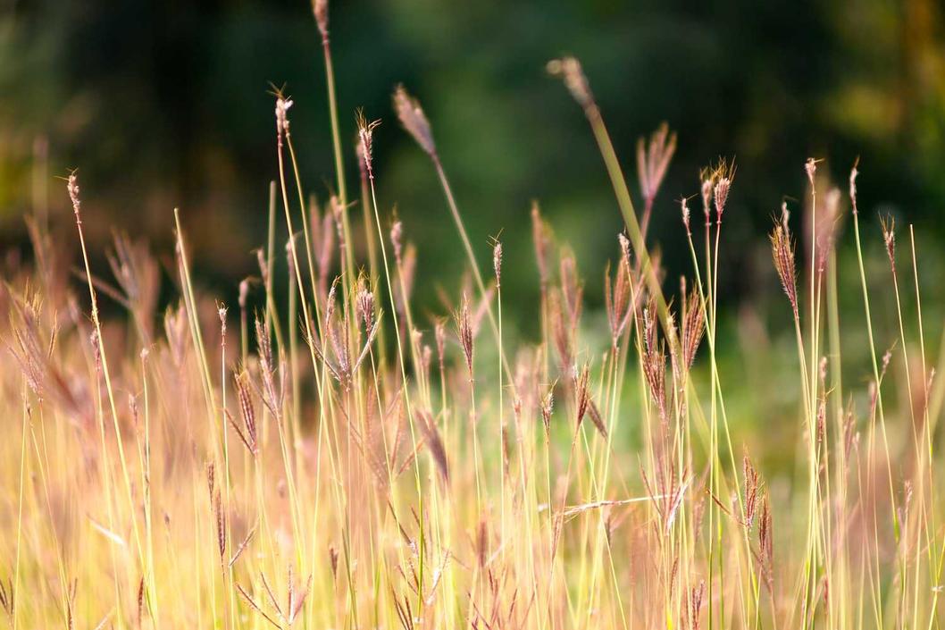 Dolorem praesentium voluptatibus aspernatur